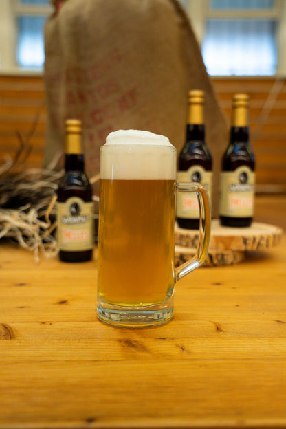 Beer box Helles (33cl) 12 bott.